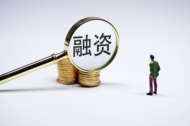 上海潇潇实业：行业风云再起，趋势引领未来
